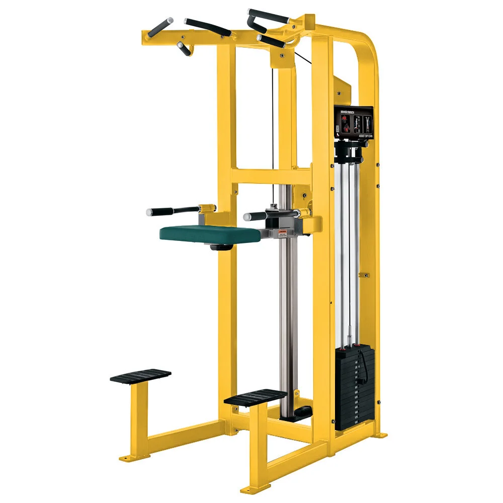 Hammer strength assisted chin dip hotsell